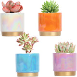 Gepege Succulent Pots for Plants, Succulent Planter with Drainage Holes, Ceramic Pot for Indoor Plant, Set of 4